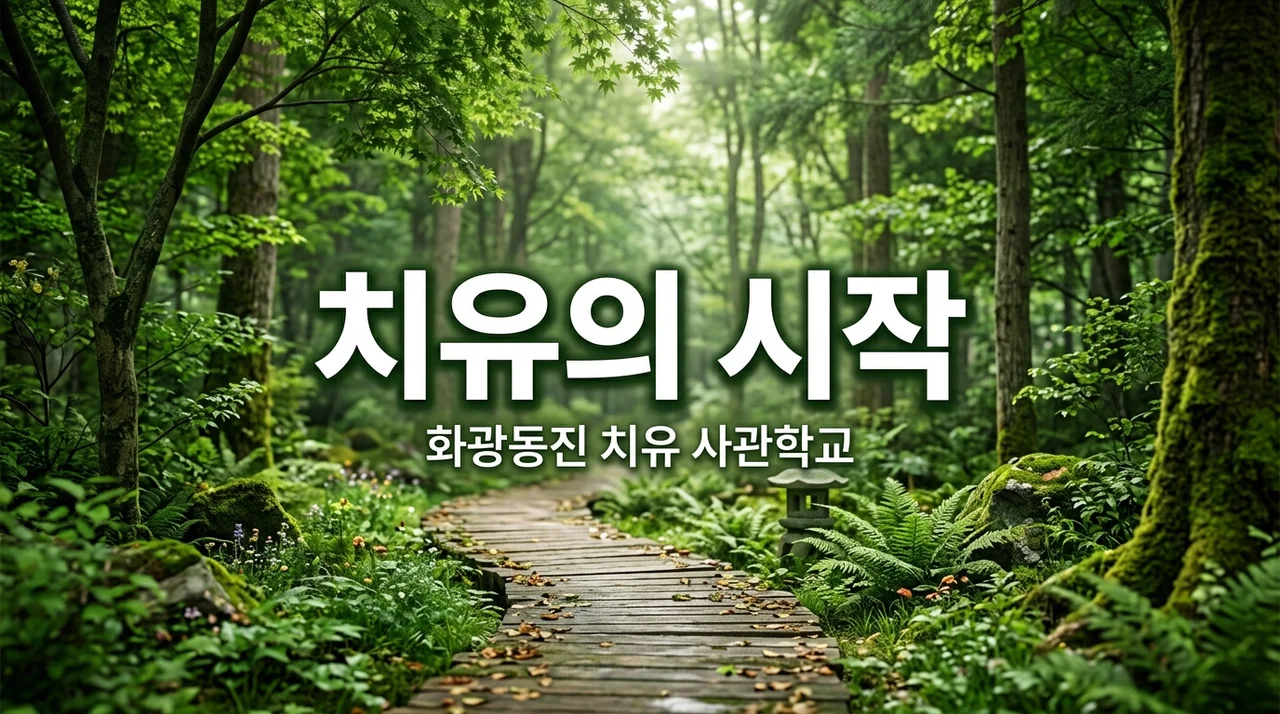 화광동진 치유 사관학교, 일상에 지친 당신을 위한 웰니스 치유 가이드